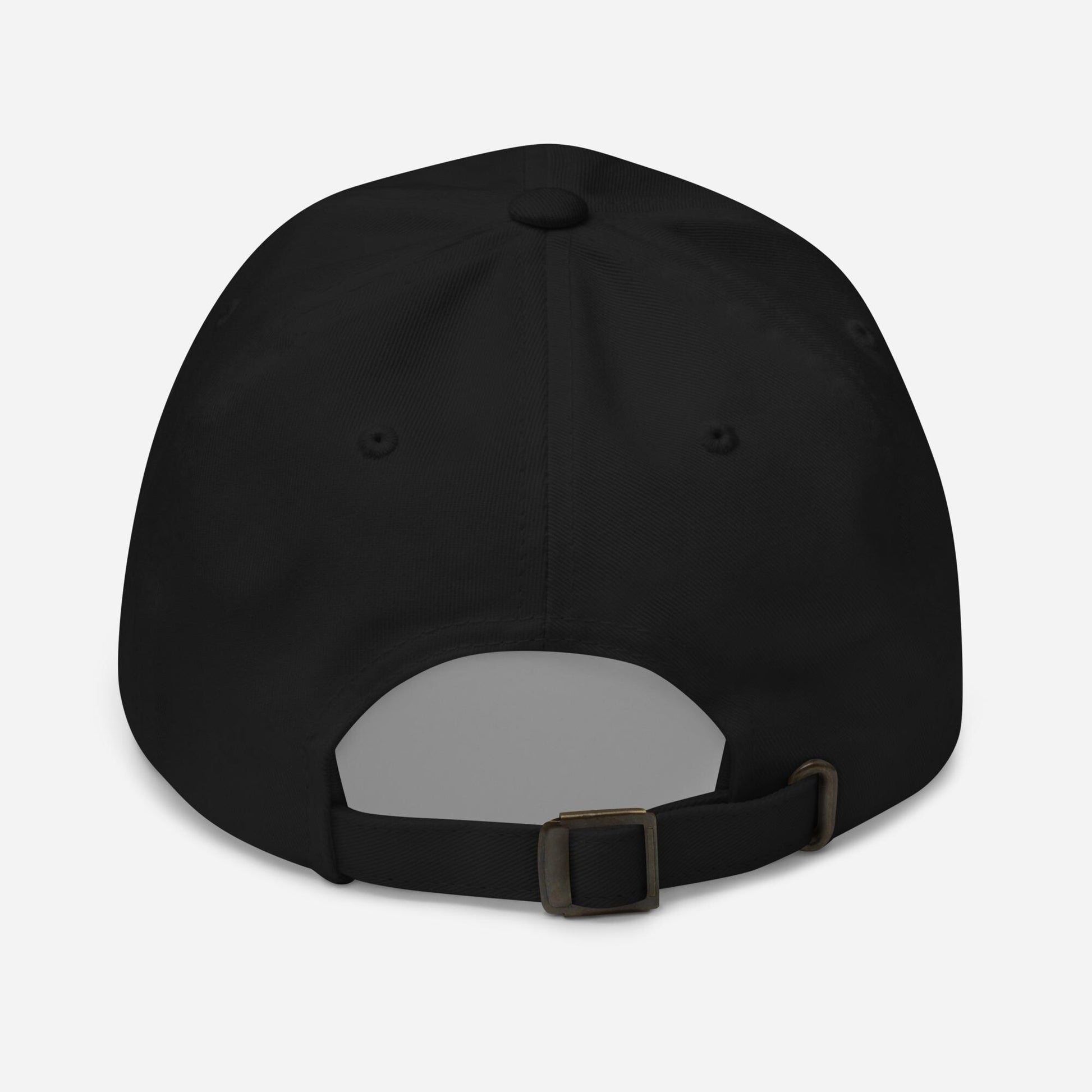 Last of Us WLF Inspired Hat | TLOU Washington Liberation Front